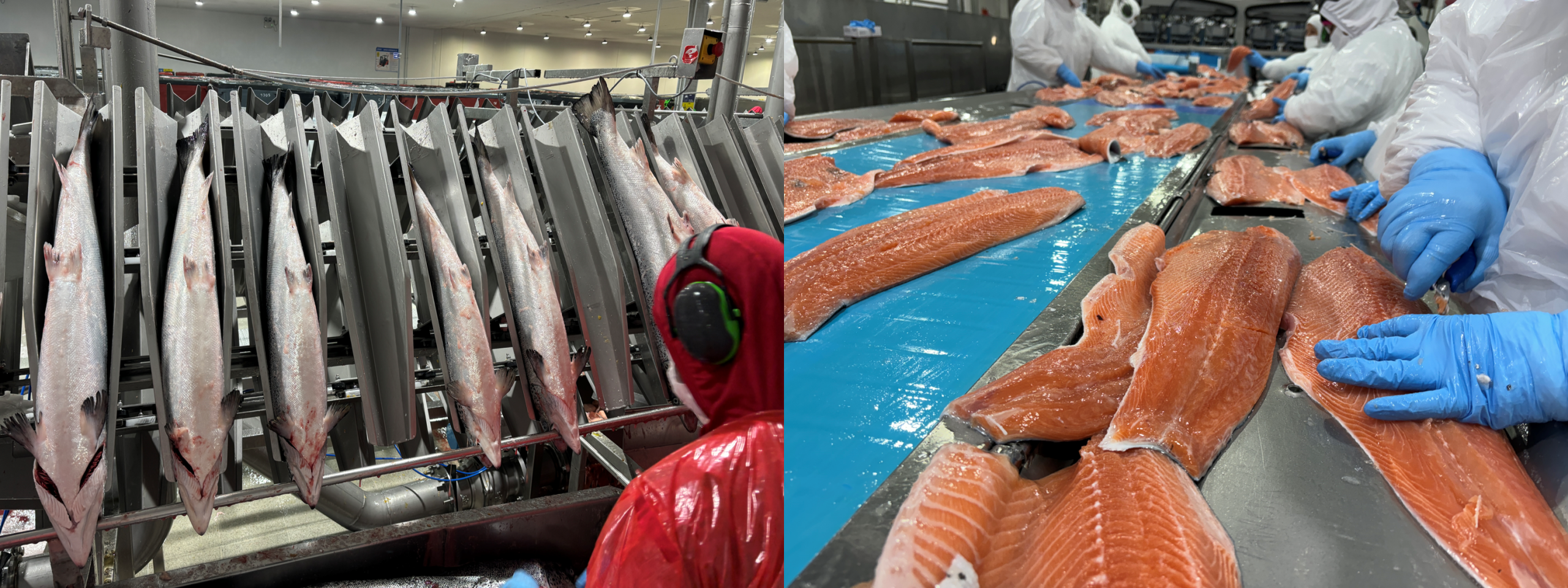 Quality Control & Inspections